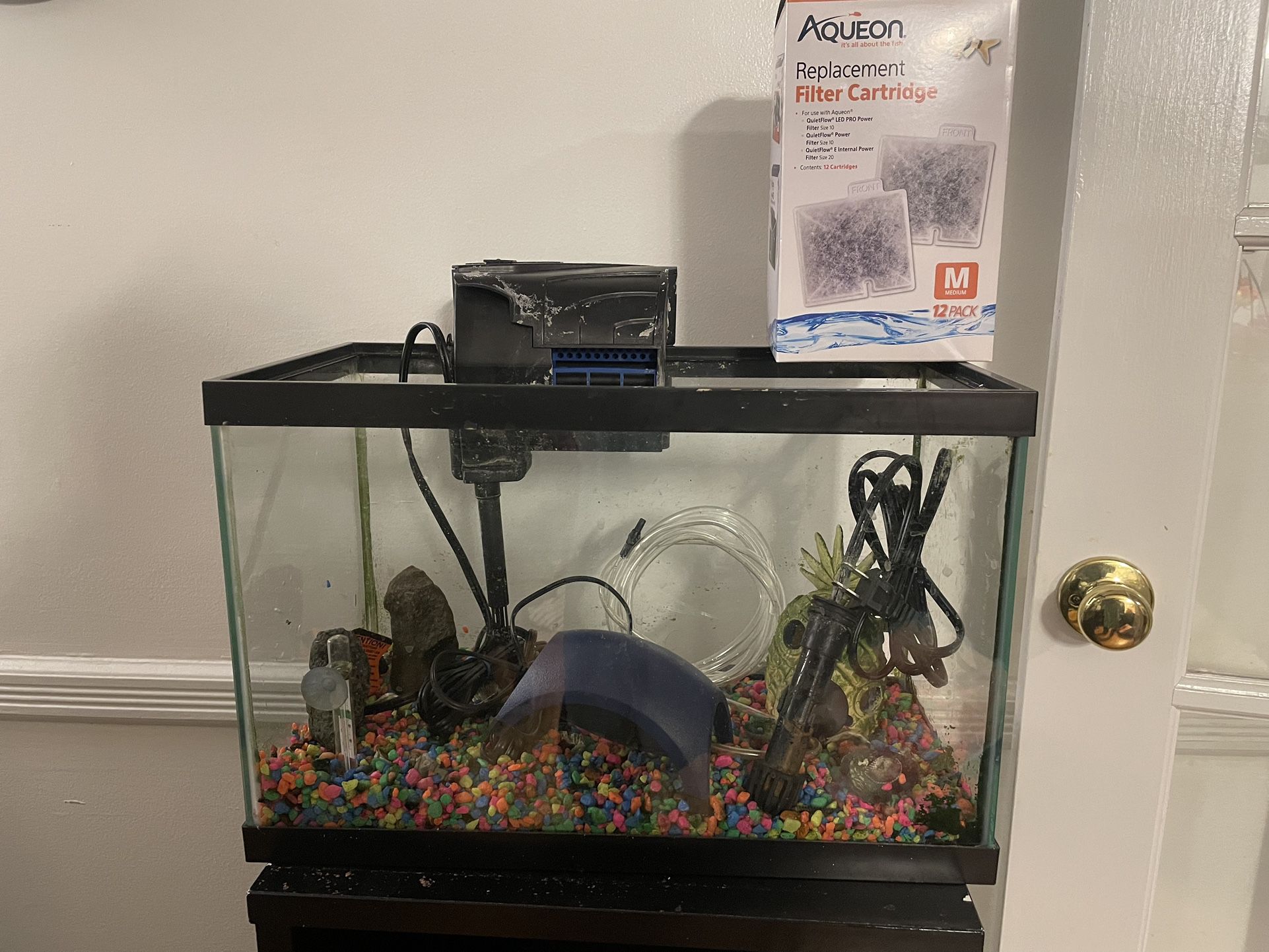 Used 5.5 Gallon Fish Tank With Accessories 
