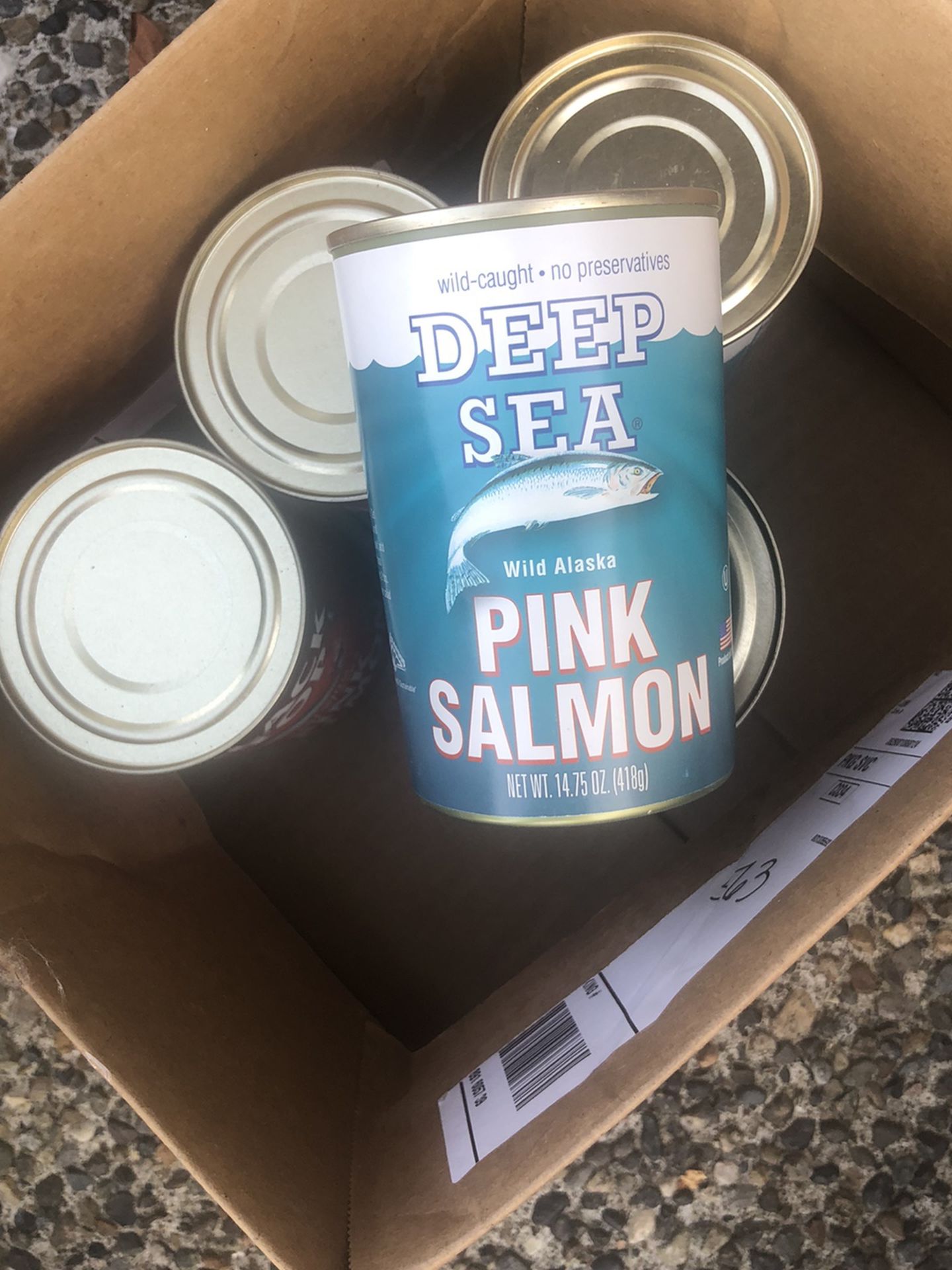Canned Salmon 
