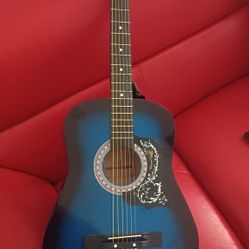 Acoustic Guitar 