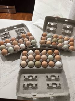 Eggs