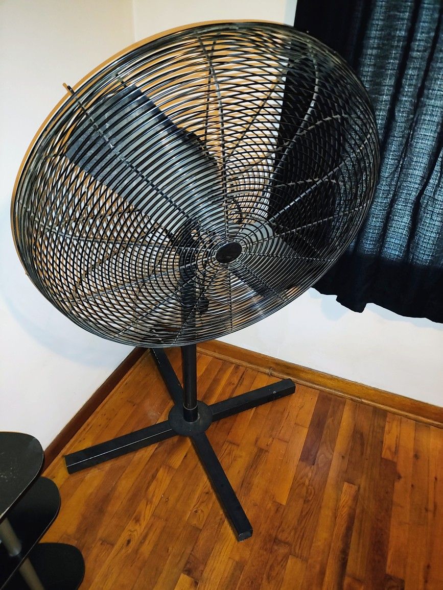 Fan
