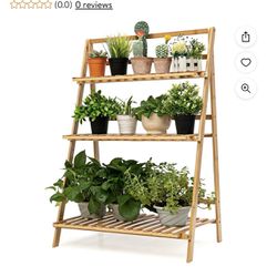 Bamboo Ladder Plant Stand