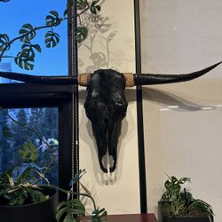 Steer Skull Wall Decor