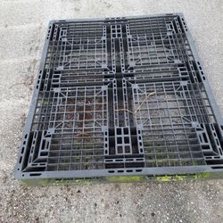 Plastic Pallets 