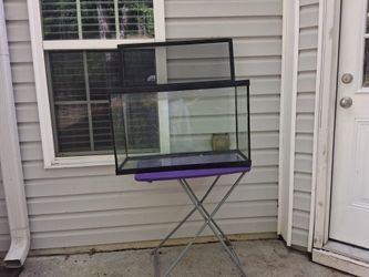 10 gallon tank