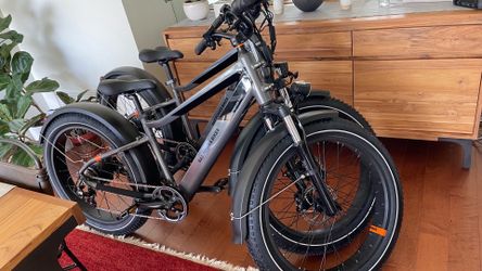 RadRover 6 Plus