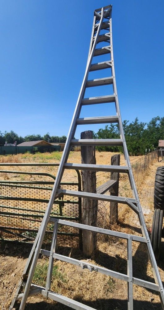 Fruit Ladder