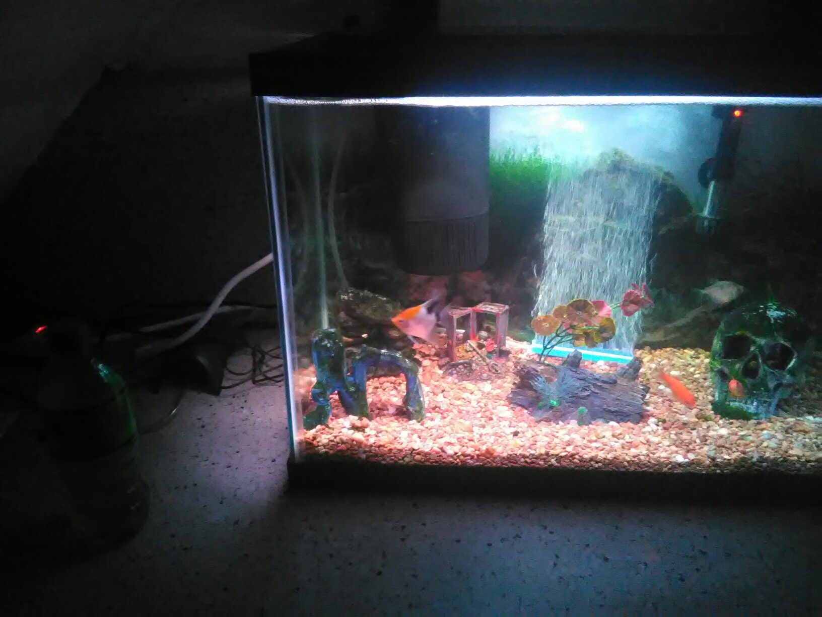20 gallon fish tank n decor