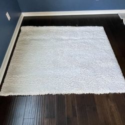 Pottery Barn Stain Resistant Luxe Shag Rug,64"x52", Ivory