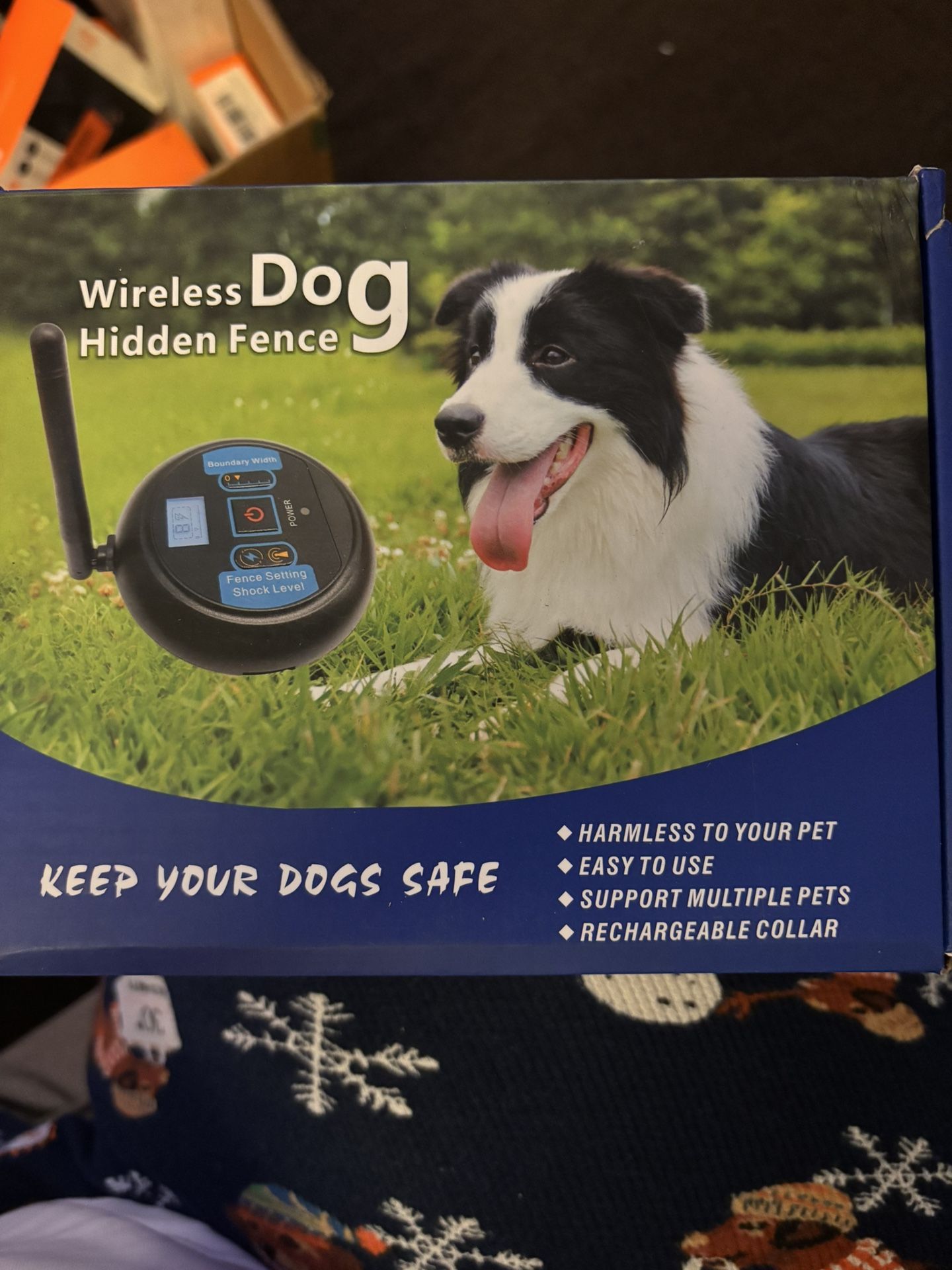 Electric Dog Fence