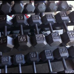 5 To 60 Lbs Dumbbells With Rack Obo 