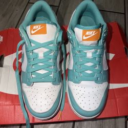 Women’s Dunks Size 10