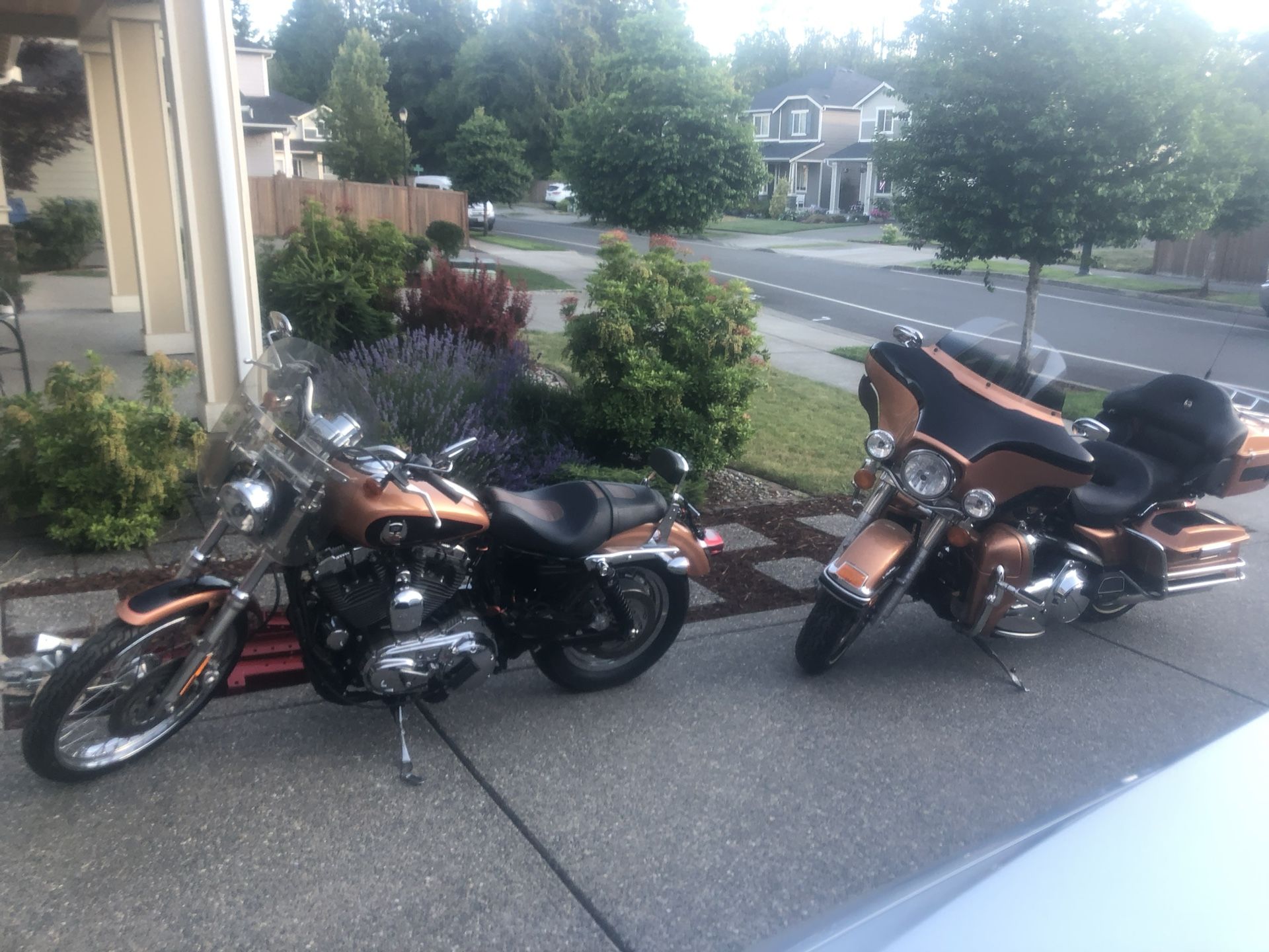 Two Harley Davidsons 105th Anniversary Edition!