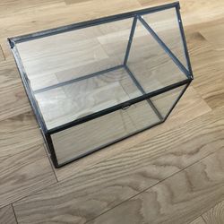 Large Glass Terrarium/Card Box