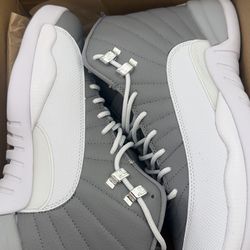 Jordan 12 new