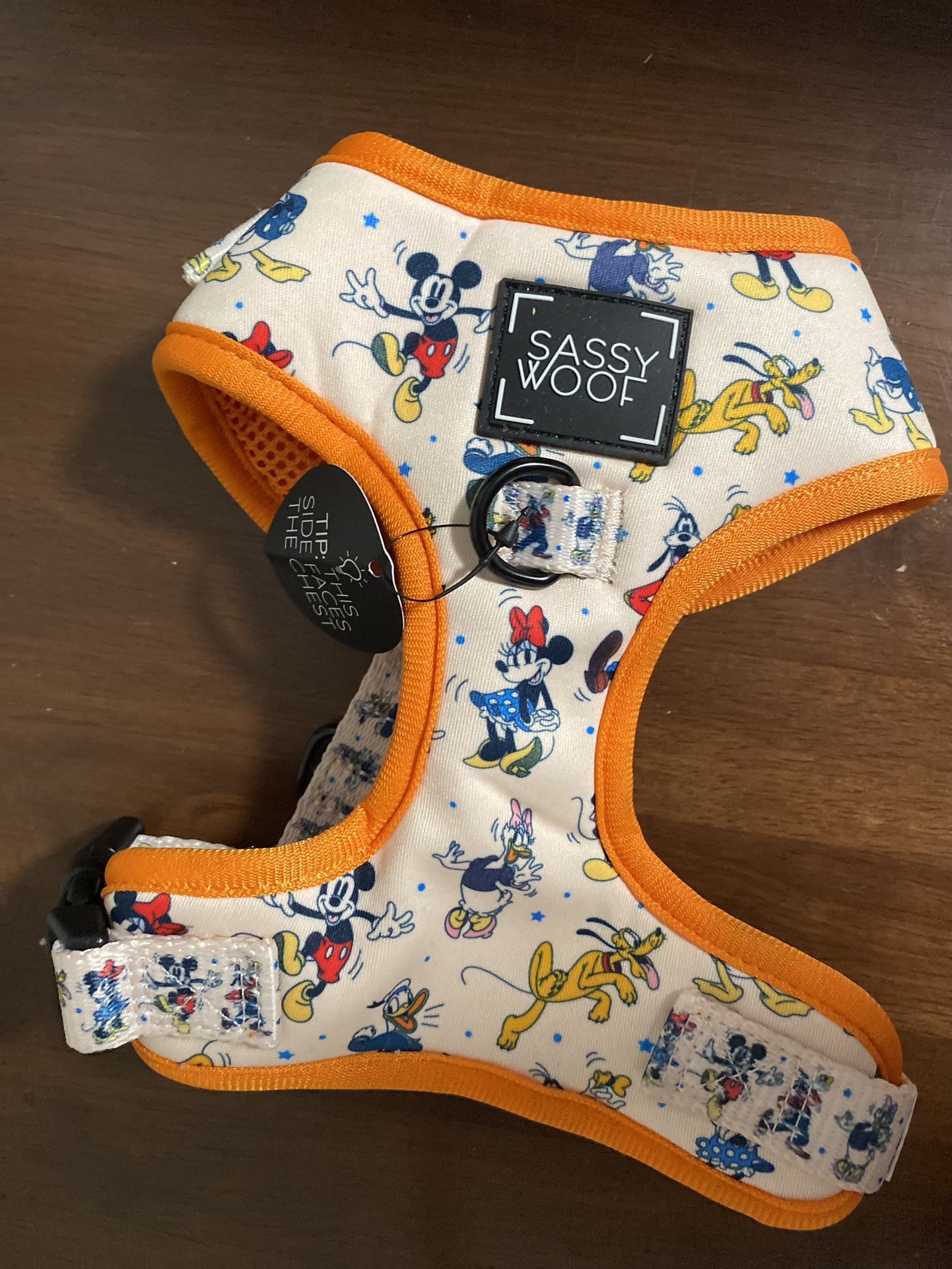 Mickey Harness With Leash