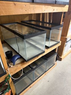 Aquariums
