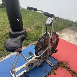 Airdyne Fitness Assault Bike Schwinn