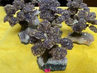 New, Firm, Choice, 10 Pod Ametrine Gemstone Tree on a Gemstone Base
