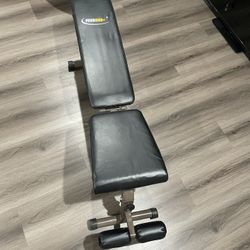 Bench Press