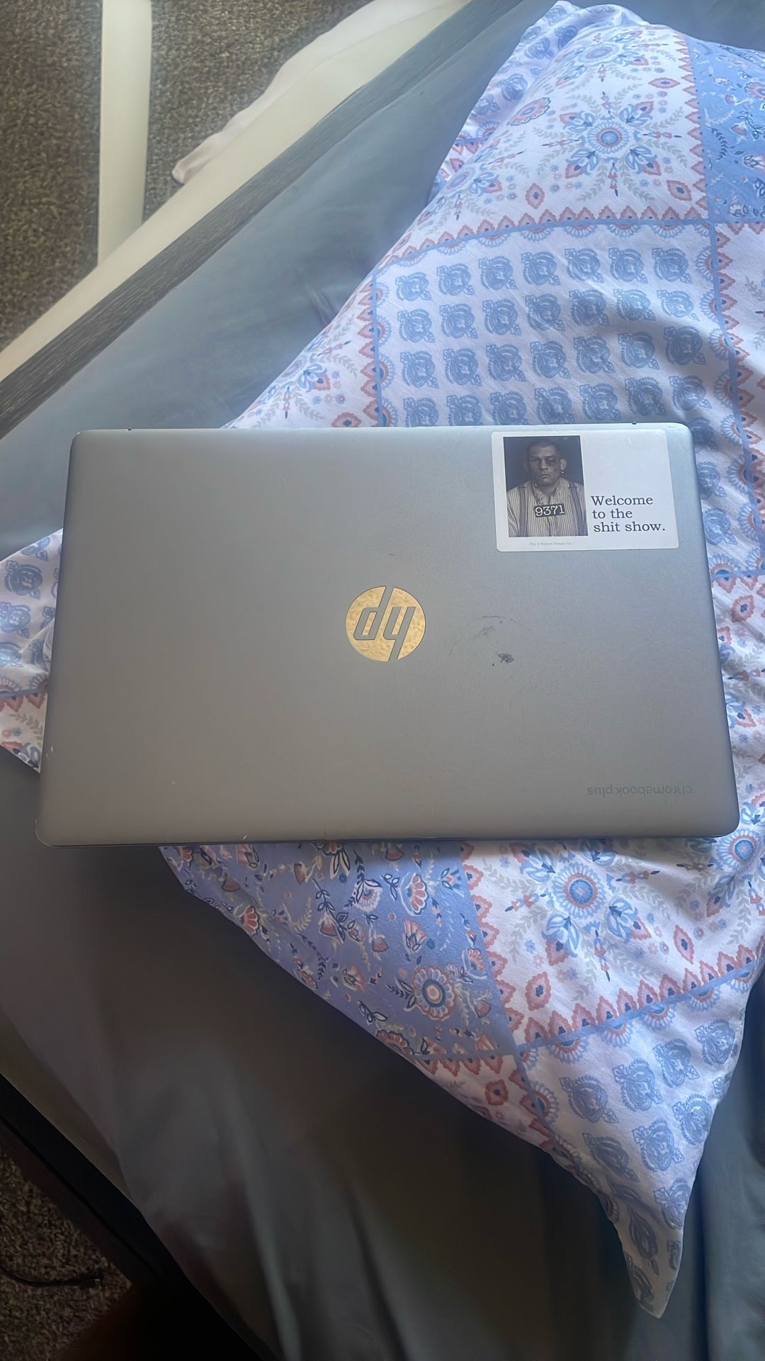 Hp Chrome Book Plus