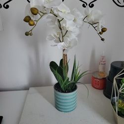Beautiful Fake Orchid 