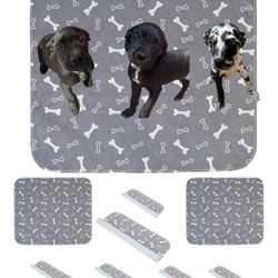 Dog Pads 