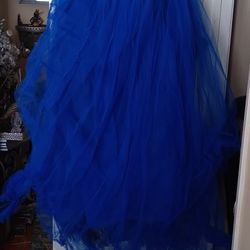 Plus Size Tulle Skirt & Leotard Costume