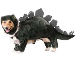Halloween Dog CostumeS