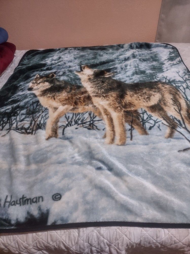 Blanket Small $10. 00 For Kids Or Even For Your Pets.