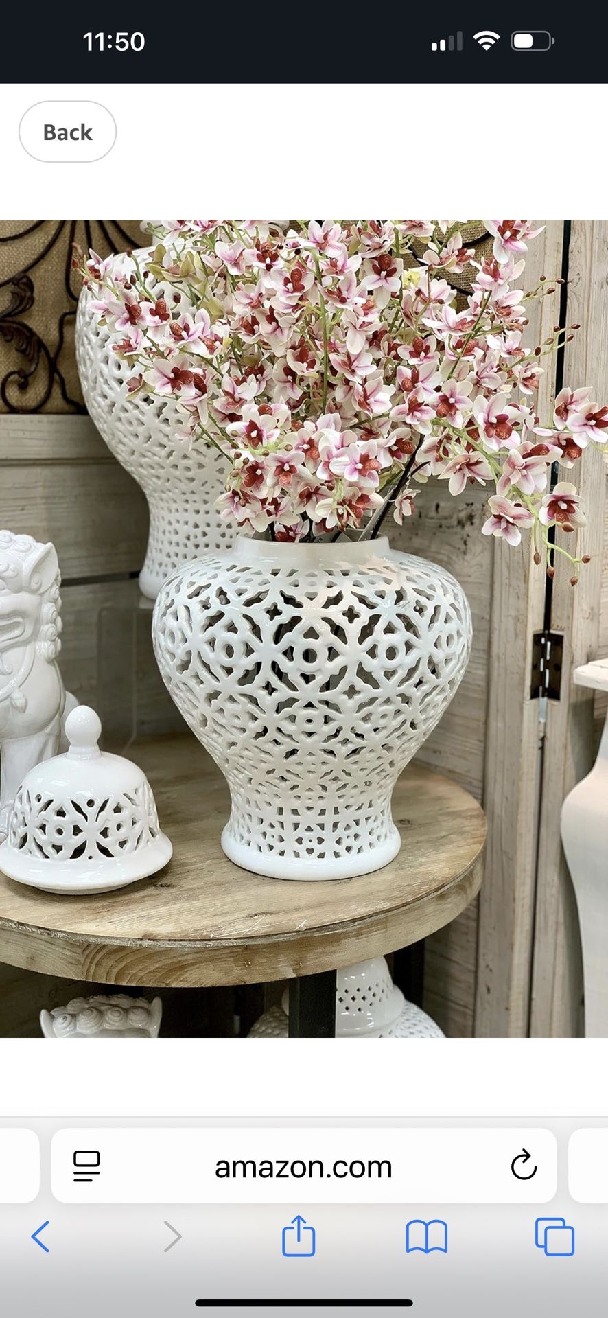 Beautiful Ginger Jar