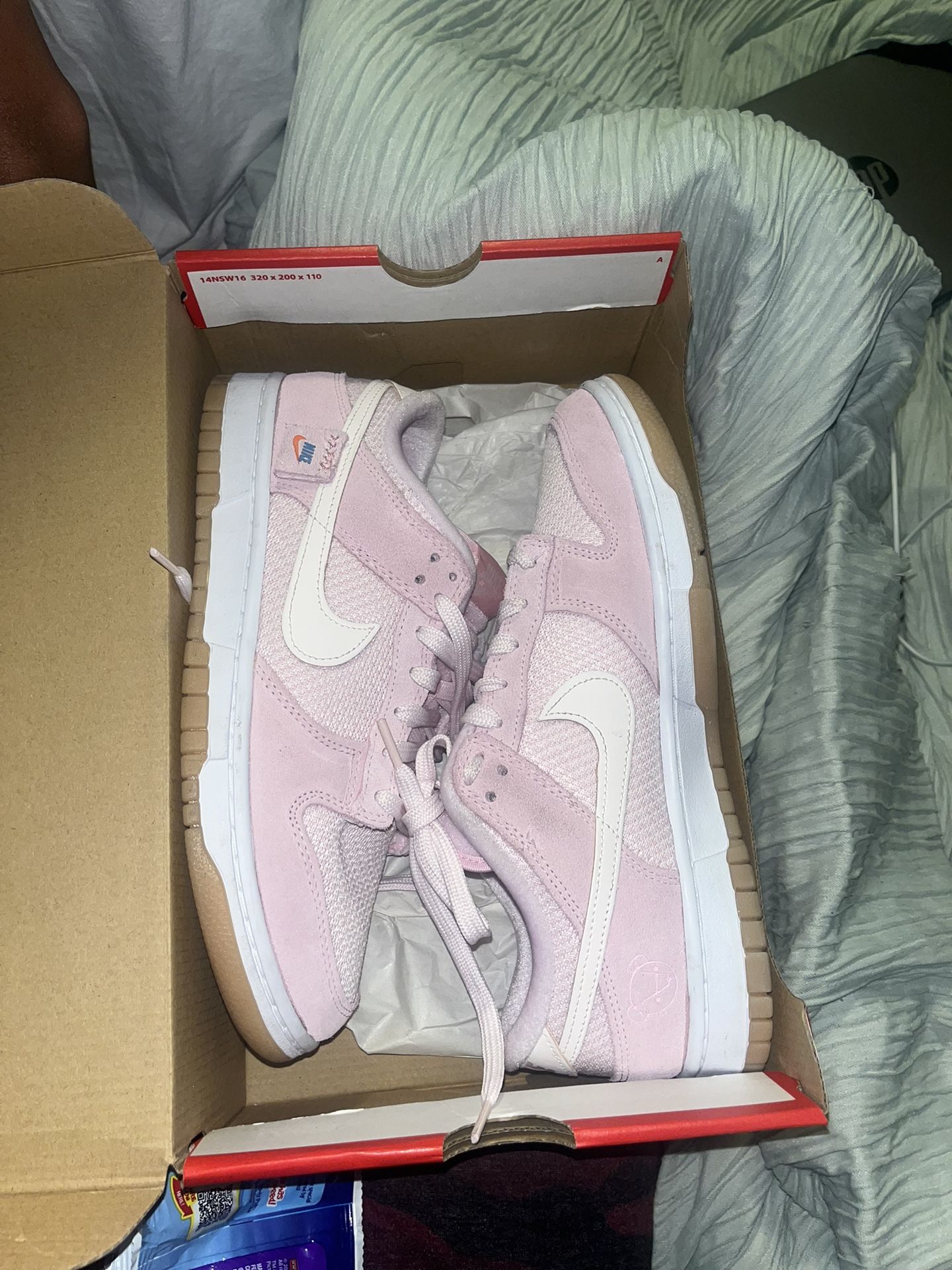 Teddy Bear Pink Men’s Dunks 