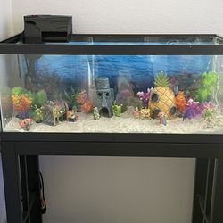 Aquarium Fish Tank 20 Gallon Tank / Stand / Filter 