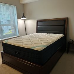 Raymour Modern Queen Bed frame with Storage