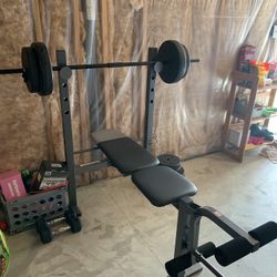 Weight Bench and Weights
