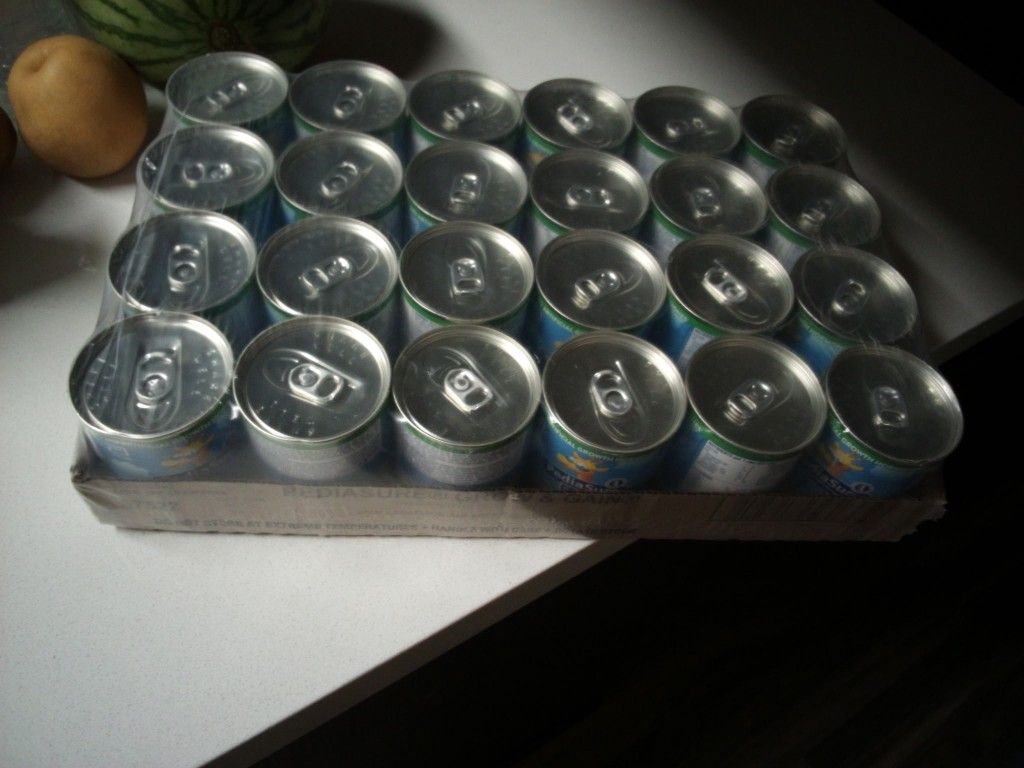 24 A Case Of Vanilla PediaSure