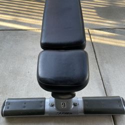 Life Fitness Flat Bench