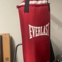 EVERLAST PUNCHING BAG