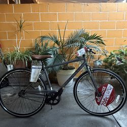 Concord Envoy City Road Bike, 700C Wheels, Grey, Fits Rider 5'4"  Unisex 