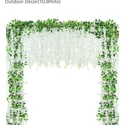 Wisteria White Flowers NEW 4 Boxes Available