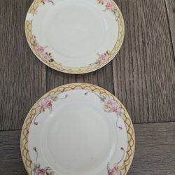 Antique Nippon Plates Set of 2 – Hand Painted Floral 6.25” (1 Chipped)