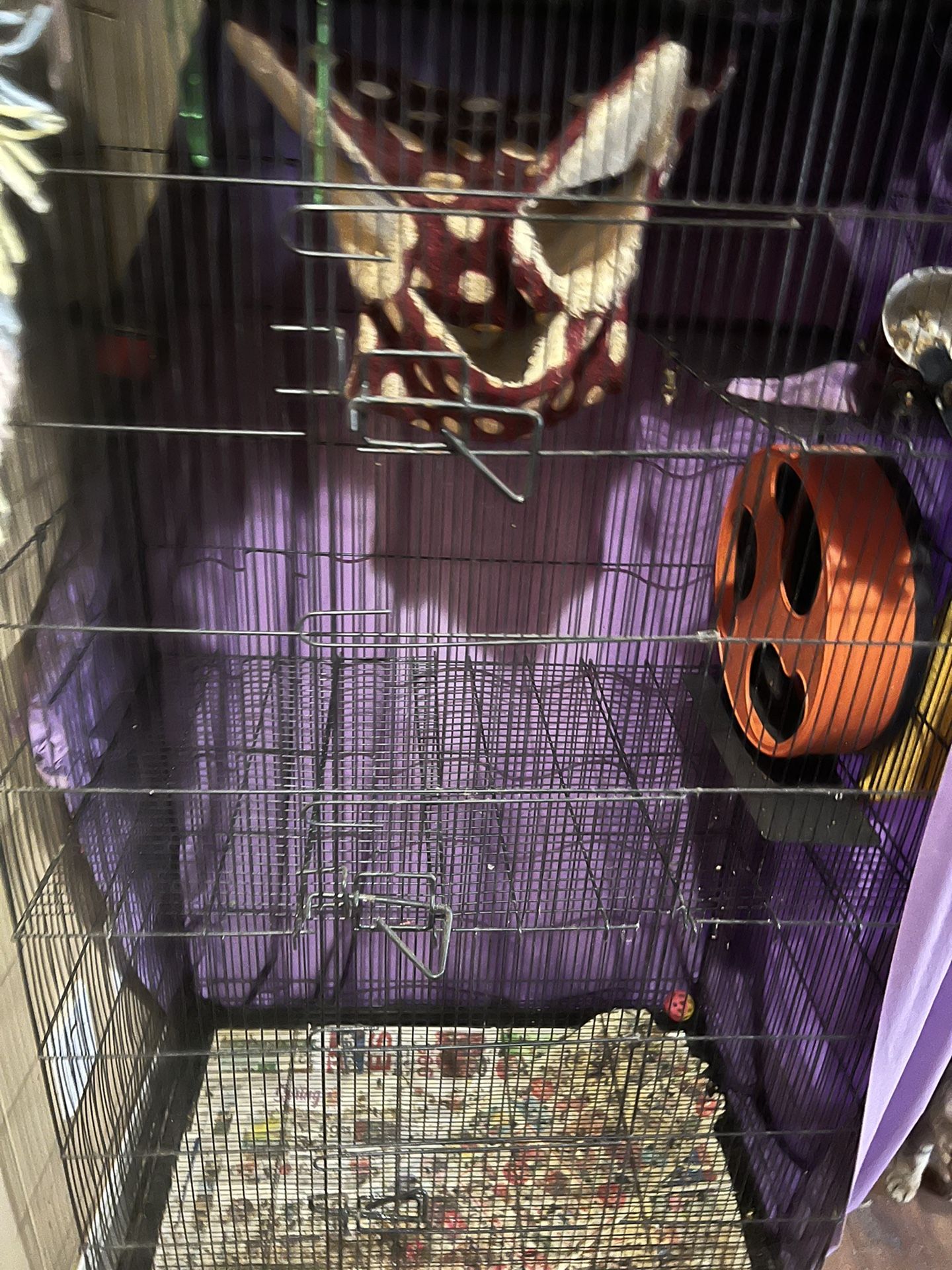 Large Cage 
