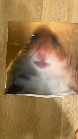Meme Hamster Pillow Case
