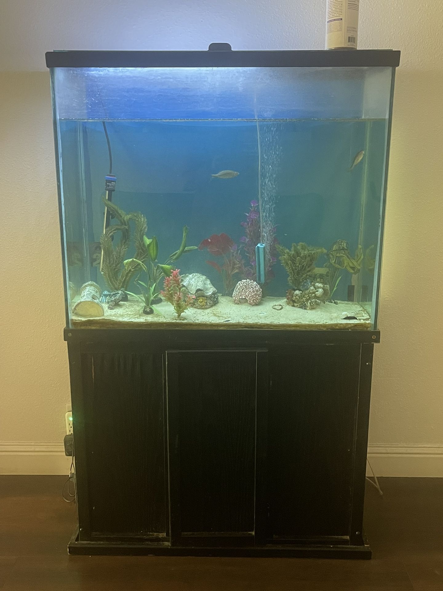 Fish Tank/aquarium 
