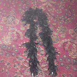Black Boa