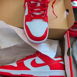 NEW DUNKS SIZE 9