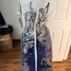 Quinceañera Dress with crinoline hoop skirt