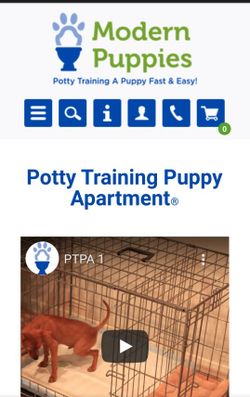 New Fredh Out The Box. My Dog Never Went In It.  Awesome Condition 