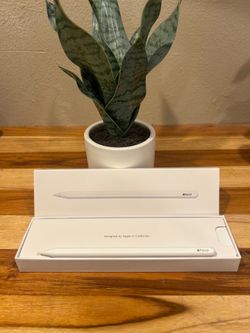 Ipad Pen