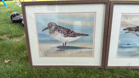 Roche Harbor Resort Artwork 